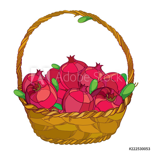 500x500 Vector Wicker Basket With Outline Whole Pomegranate Fruit