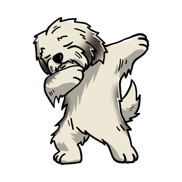630x630 dabbing cream havanese