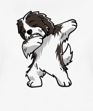 190x228 funny havanese dabbing dog dab dance women's premium t shirt