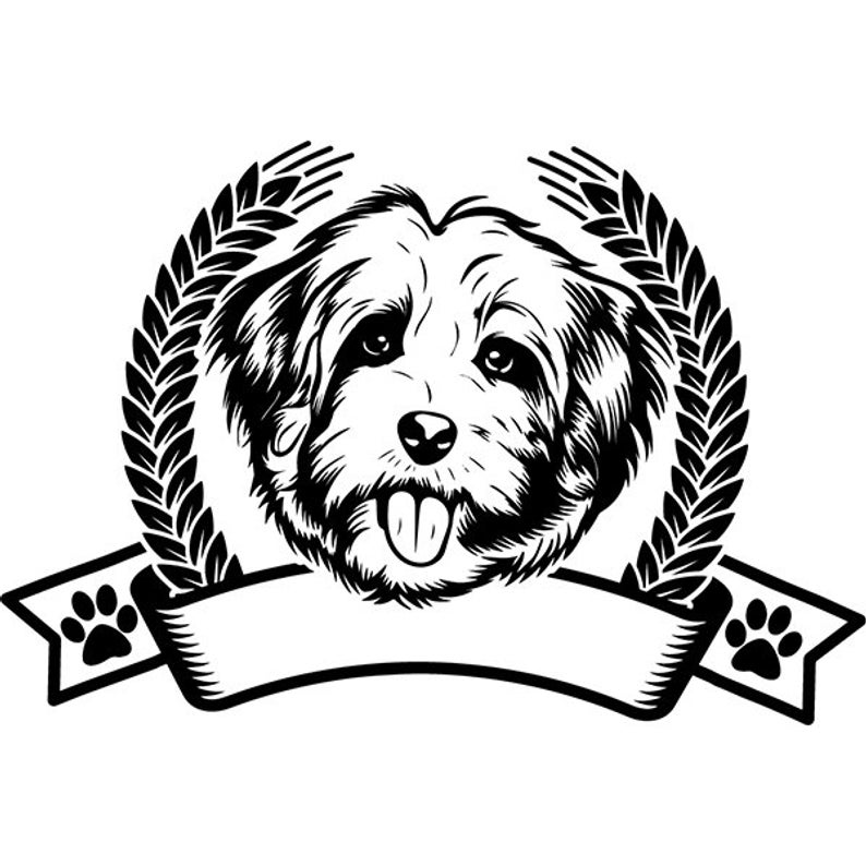 794x794 havanese happy paws dog breed pedigree canine purebred k etsy