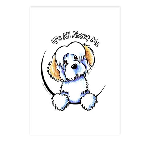 460x460 havanese dog postcards