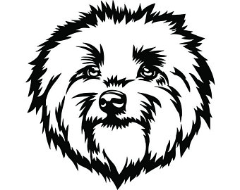 340x270 havanese drawing etsy