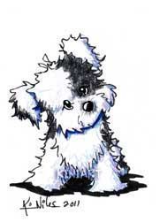 Havanese Drawing | Free download on ClipArtMag