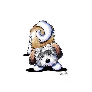 300x300 playful havanese drawing