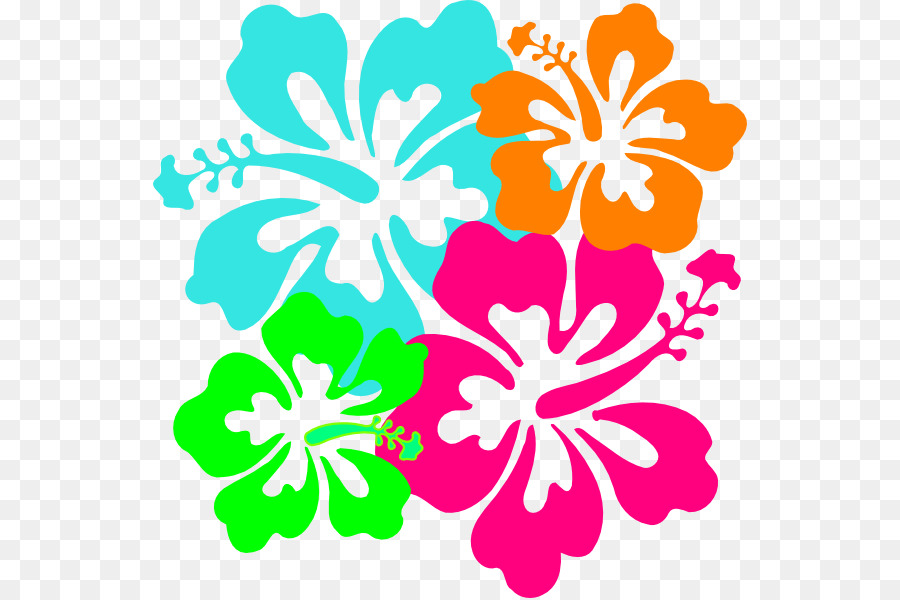 900x600 Flower, Drawing, Plant, Transparent Png Image Clipart Free Download