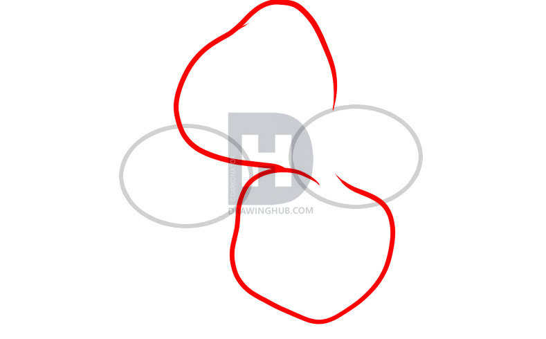 789x490 How To Draw Hawaiian Flowers, Step