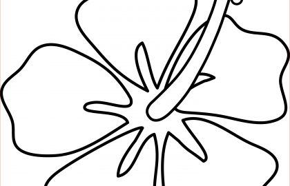 420x270 How To Draw A Hawaiian Flower Hibiscus Sketch Sketching