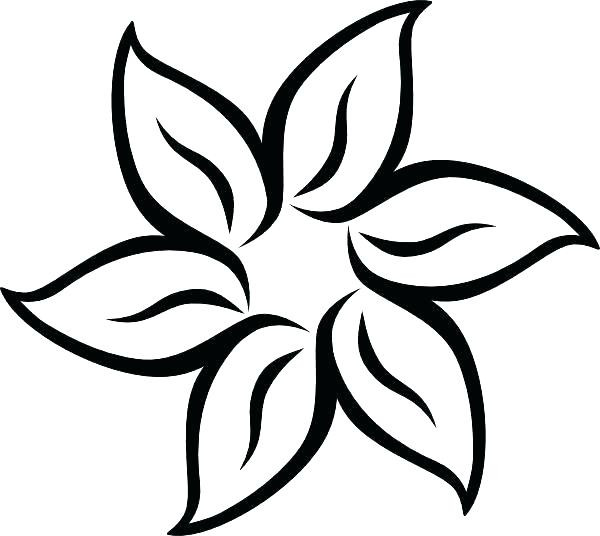 600x536 How To Draw A Hawaiian Flower Drawn Hibiscus Black And White