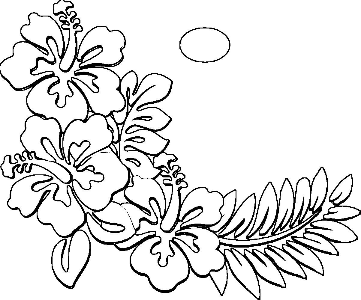 1203x1001 Collection Of 'hawaii Flower Drawing' Download More Than