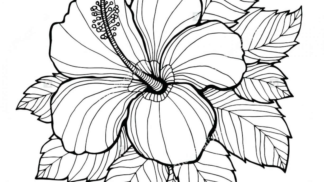 1366x768 Formidable Free Colorings Of Hawaiian Flowers New Flower Coloring
