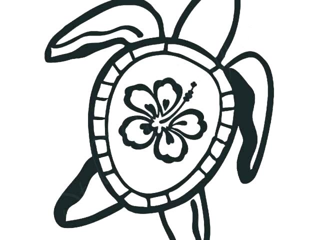 640x480 Hawaiian Flowers Coloring Pages