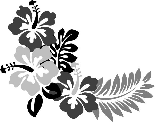 600x473 Hawaiian Flower Drawing Ideas Only On Clip Art