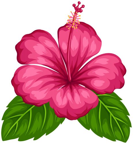 461x500 Hawaiian Flower Drawing Ideas Only On Cliparts