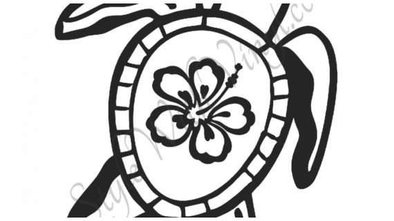 570x320 How To Draw A Hawaiian Flower List Of Synonyms And Antonyms