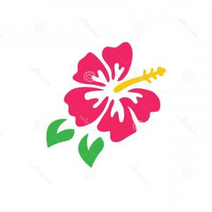300x300 Png Hawaiian Hibiscus Hawaiian Hibiscus Drawing Clip A Sohadacouri