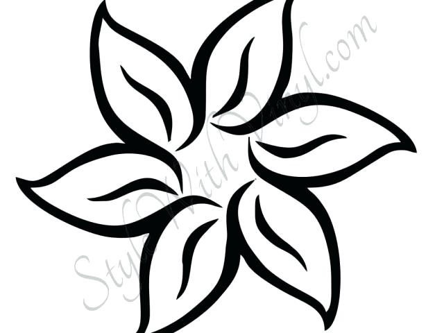 640x480 Hawaiian Flowers Drawings