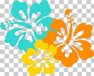310x252 Hawaii Lei Open Graphics Png, Clipart, Drawing, Flower, Flowering