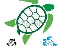 200x150 Cute Turtle Clipart House Clipart Best Of Sea Turtle Clip Art