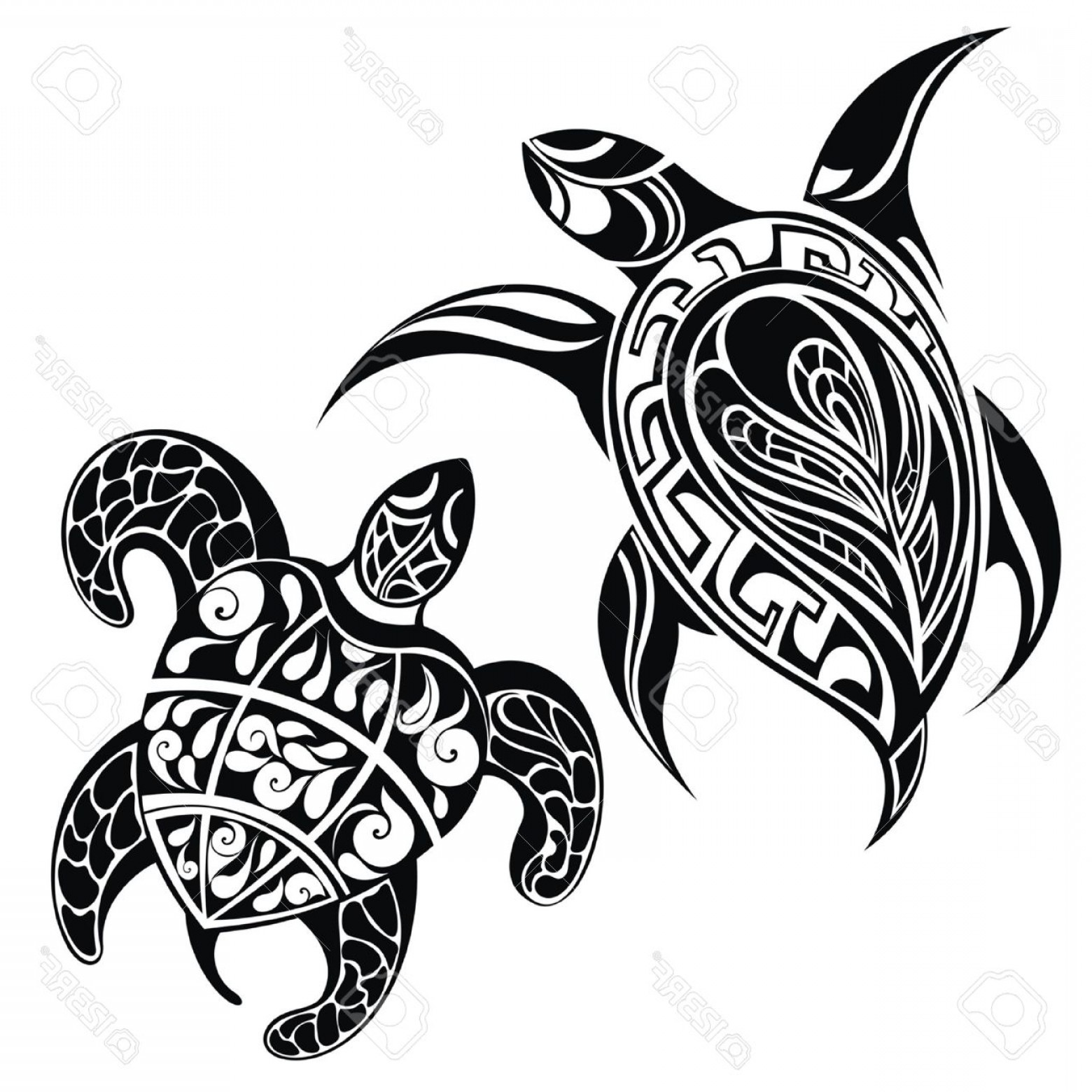 Hawaiian Turtle Drawing | Free download on ClipArtMag