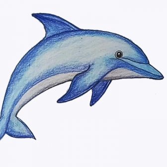 336x336 Turtle Drawing Contest Art Simple Outline Hawaiian A To Make It