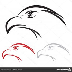 300x300 Hand Draw Hawk Head Gm Soidergi