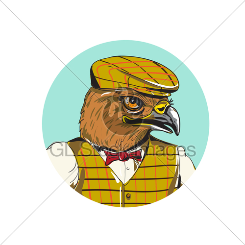 500x500 Hawk English Outdoorsman Head Circle Drawing Gl Stock Images