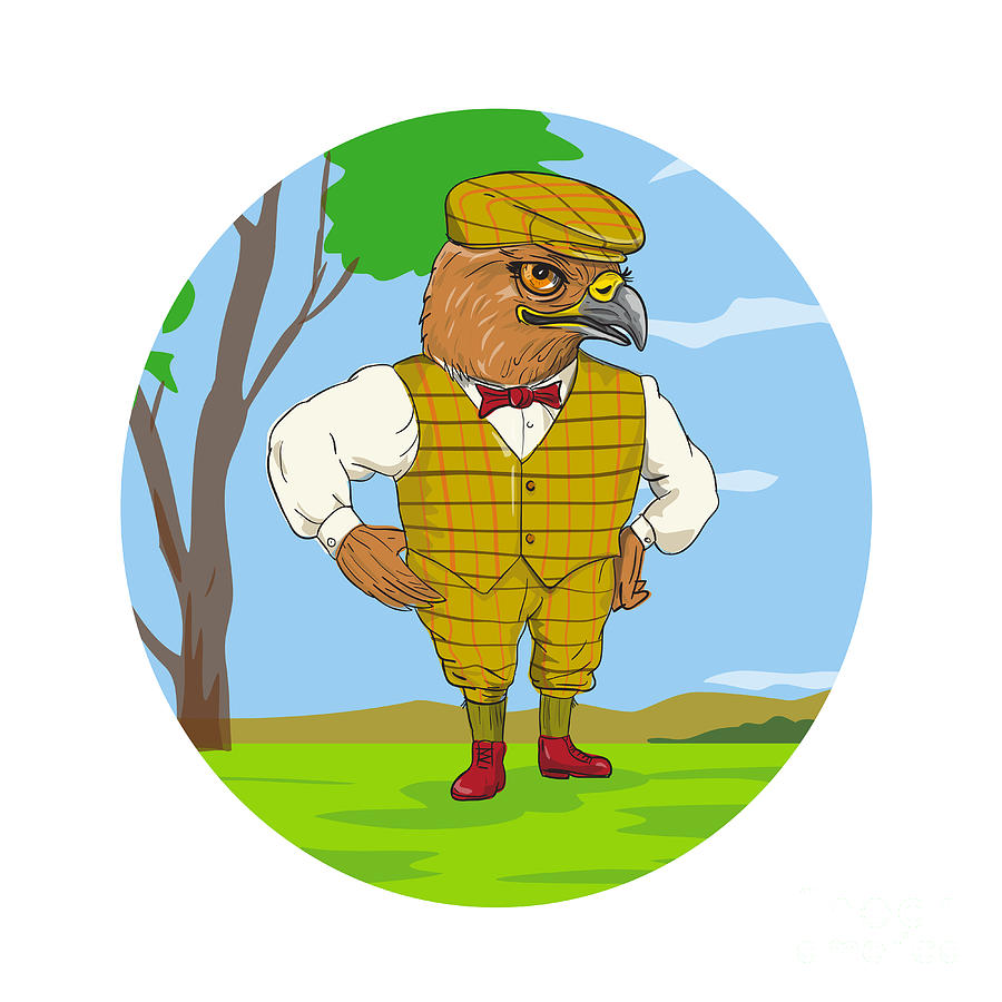 900x900 Hawk Outdoorsman Oval Drawing Digital Art
