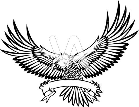 480x370 Red Tailed Hawk Clipart Cartoon