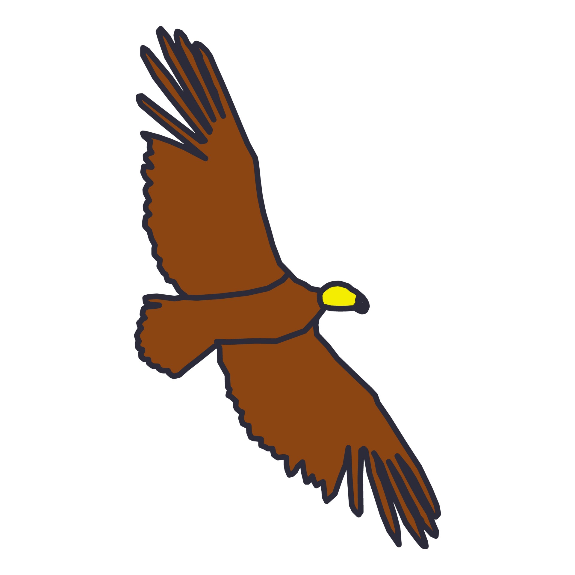 1920x1920 Cartoon, Isolated, Claw, Bird, Hawk