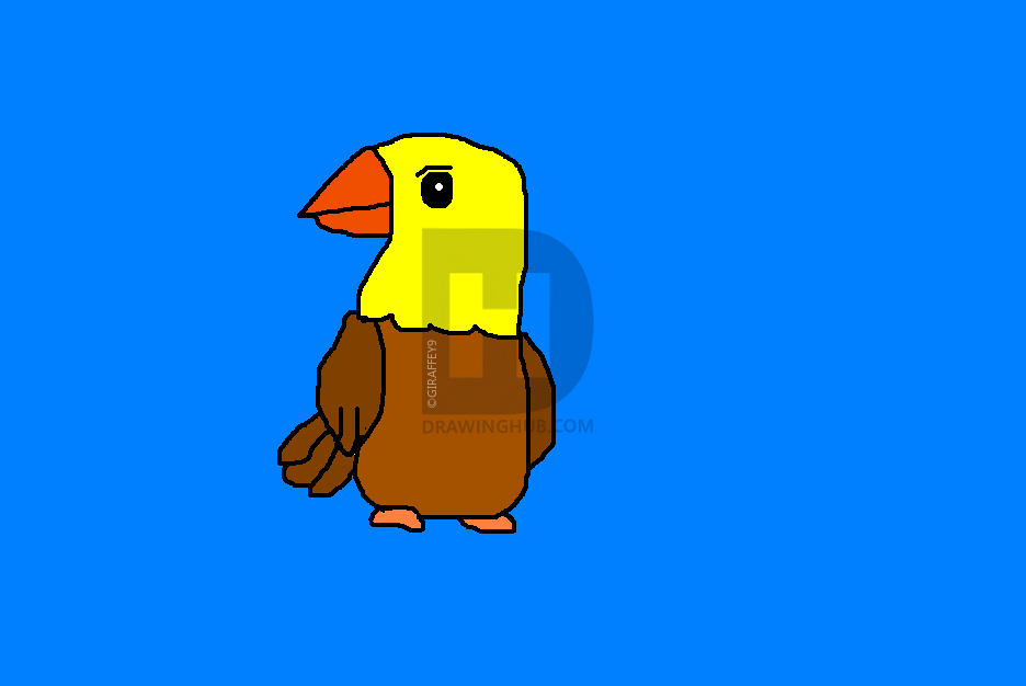 936x626 Cartoon Hawk Drawing