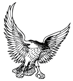 256x286 Collection Of Free Hawk Drawing Class Download On Ui Ex