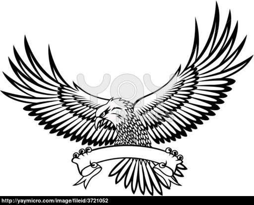 512x413 Cool Eagle Drawings Hawk, Eagle, Air, American, Animal, Attack