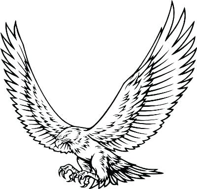 400x384 Red Tailed Hawk Coloring Pages Tony Printable