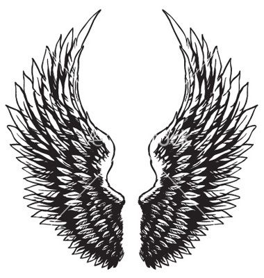 380x400 Free Hawk Images Hand Drawn Eagle Wings Vector