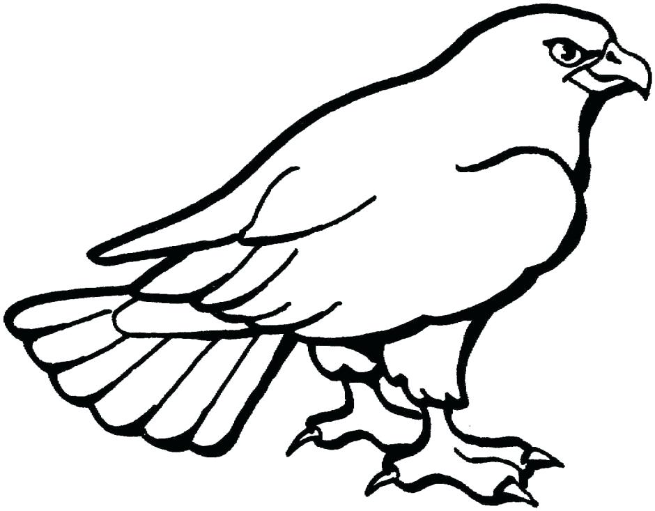 940x733 Hawk Drawing Outline For Free Download