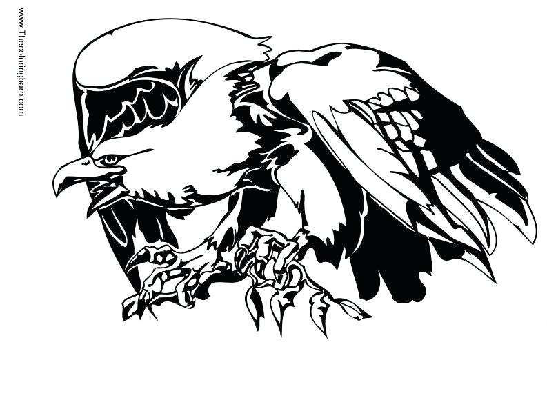793x606 How To Draw A Bald Eagle For Kids Eagle Tattoo Coloring Pages Home