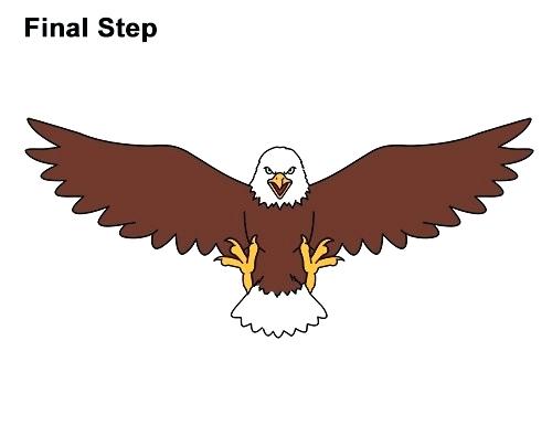 500x386 easy hawk drawing draw hawk easy hawk drawing step