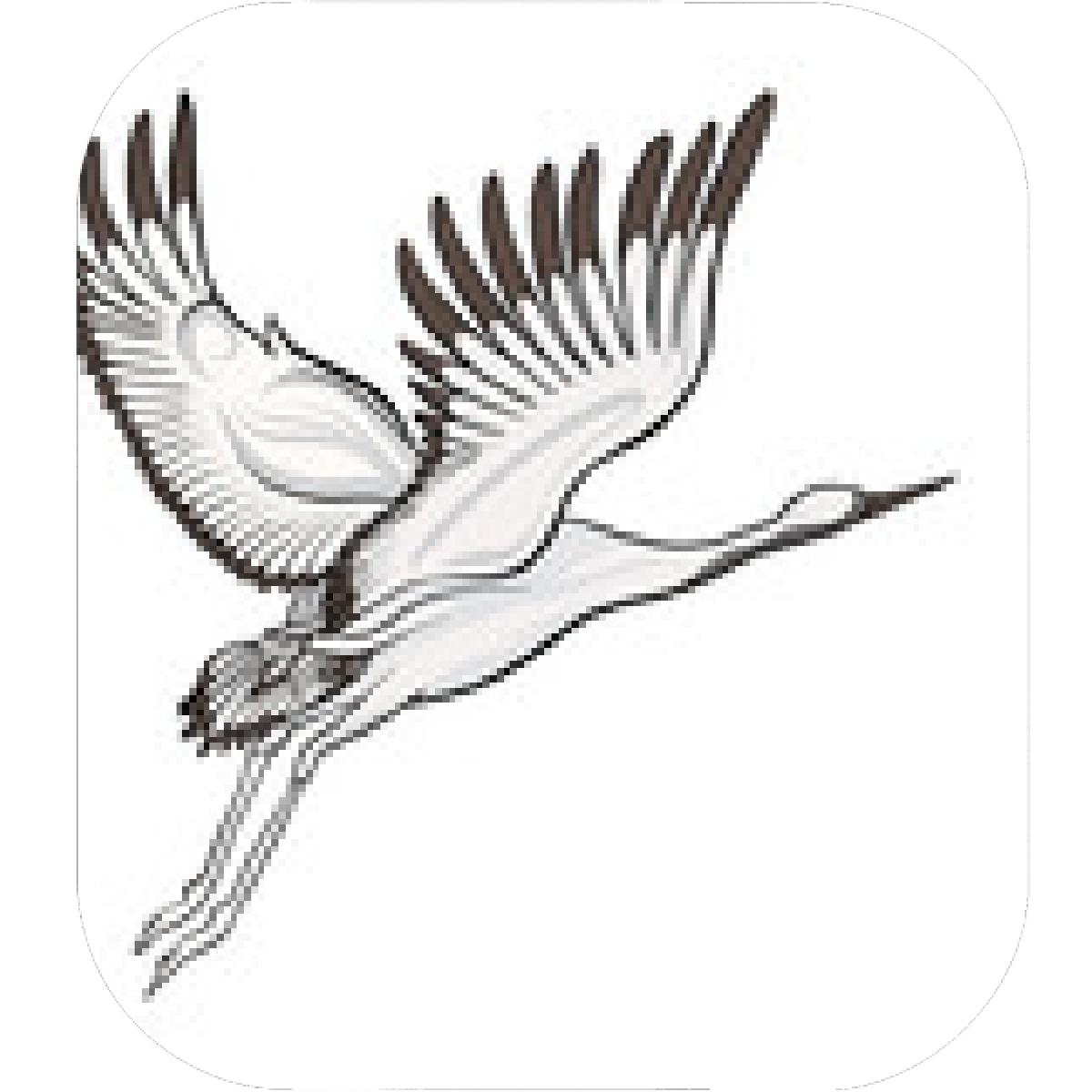 1200x1200 Designs Mein Mousepad Design Mousepad Selbst Designen