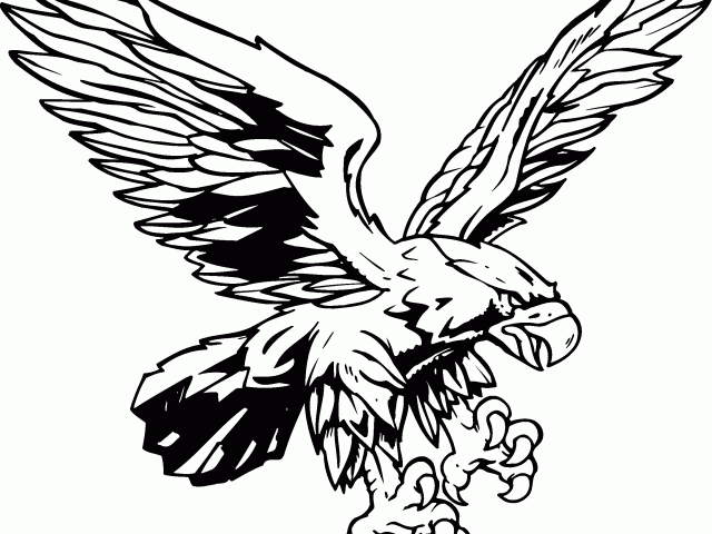 640x480 Free Red Tailed Hawk Clipart, Download Free Clip Art
