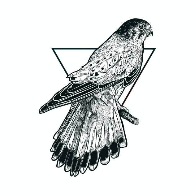 630x630 Sparrow Hawk