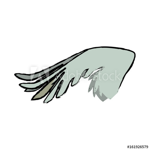 500x500 Drawing Wing Feather Animal Icon Vector Illustration