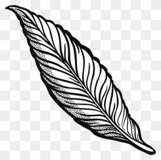 320x318 Clipart Feather Lineart Anniversary Clip Art Free