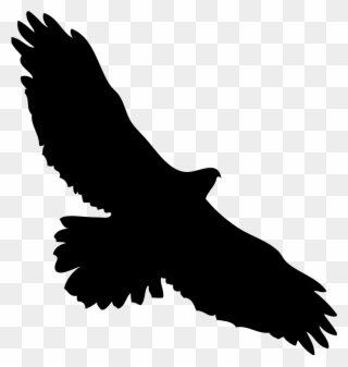 320x337 Eagles Clipart Kite Bird