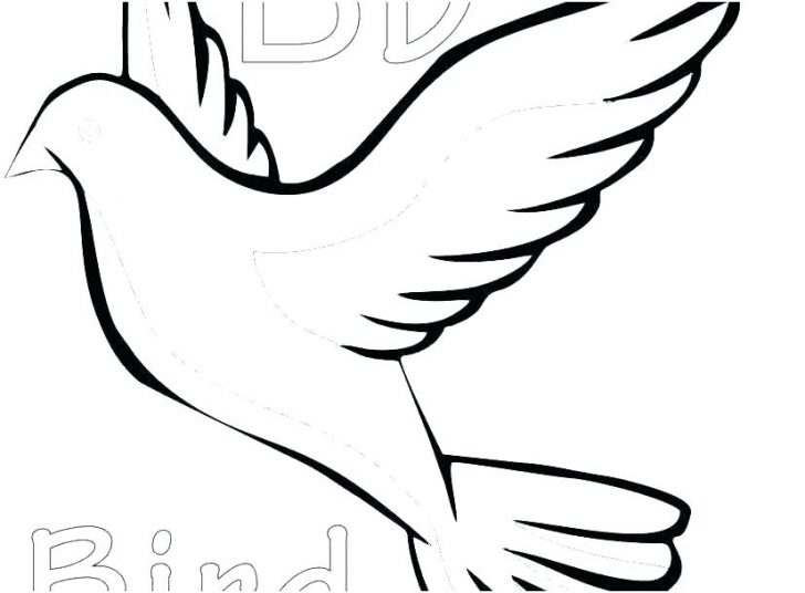 728x536 Flying Falcon Bird Coloring Pages Online Unicorn Disney Cars