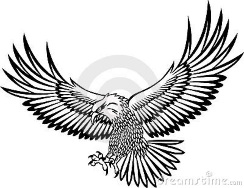 800x616 Gallery For Flying Hawk Tattoo Birds Hawk Tattoo, Eagle