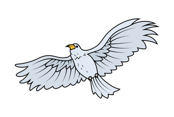 355x240 Wild Hawk Flying