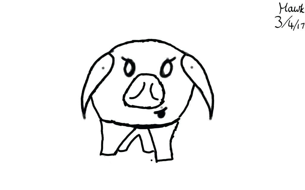 1024x640 Hawk Drawing