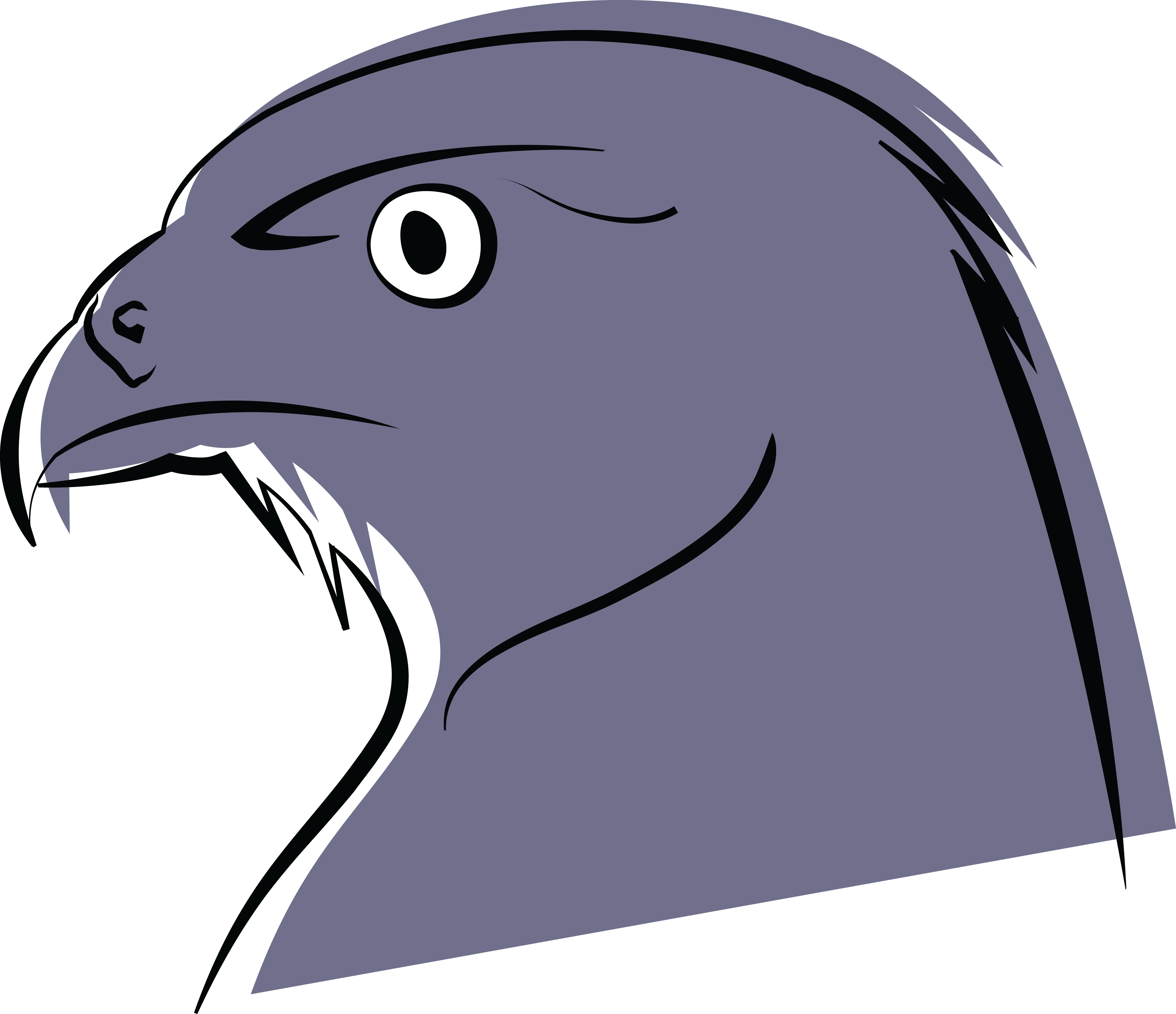 4000x3449 Clipart Face Hawk, Clipart Face Hawk Transparent Free For Download