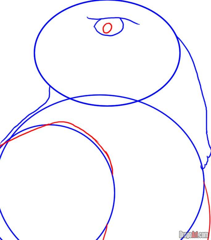 684x780 Draw A Hawk, Step