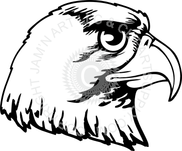 361x299 Hawk Head With Curved Beak